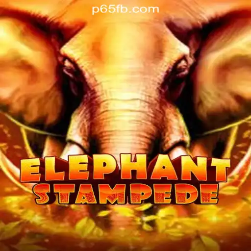 P65.COM Online Casino Philippines Virtual Sports